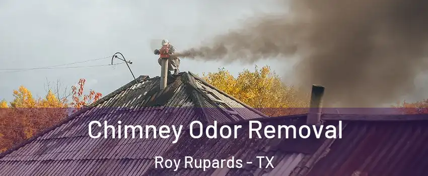 Chimney Odor Removal Roy Rupards - TX