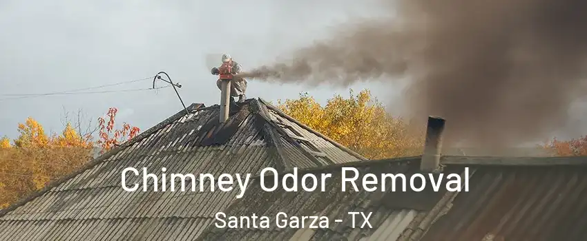 Chimney Odor Removal Santa Garza - TX