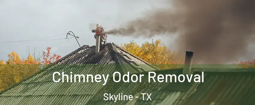 Chimney Odor Removal Skyline - TX