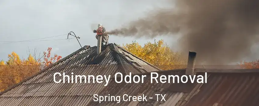 Chimney Odor Removal Spring Creek - TX