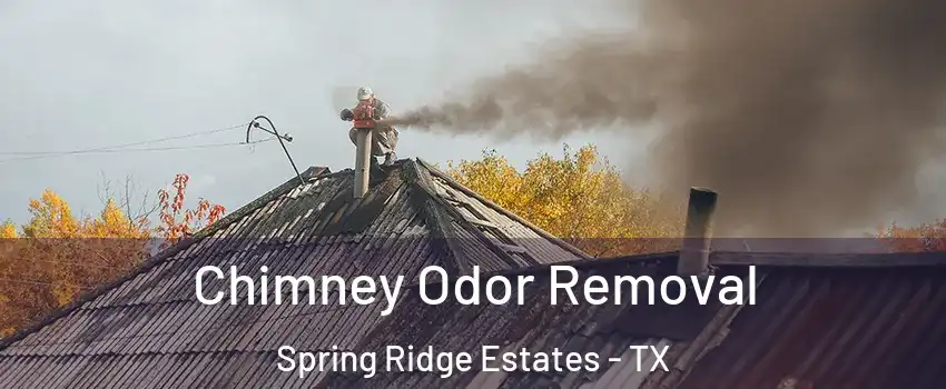 Chimney Odor Removal Spring Ridge Estates - TX