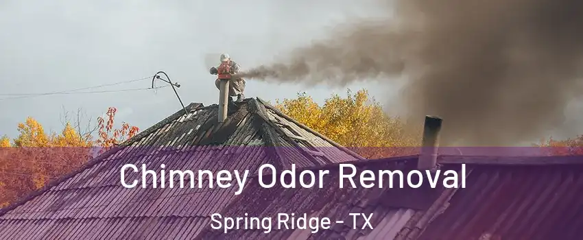 Chimney Odor Removal Spring Ridge - TX