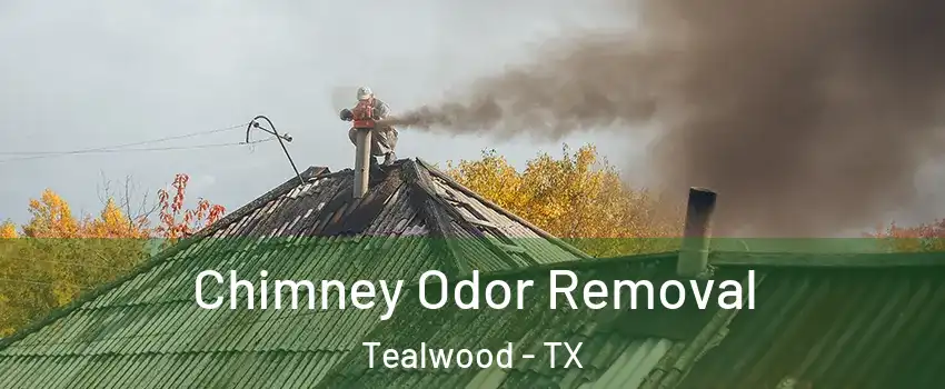 Chimney Odor Removal Tealwood - TX