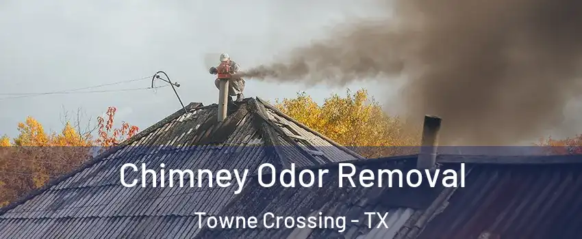 Chimney Odor Removal Towne Crossing - TX