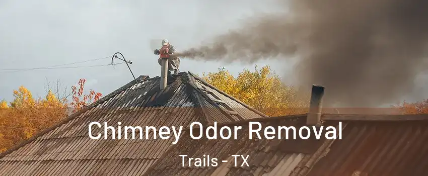 Chimney Odor Removal Trails - TX