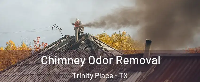 Chimney Odor Removal Trinity Place - TX