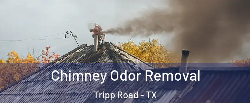 Chimney Odor Removal Tripp Road - TX