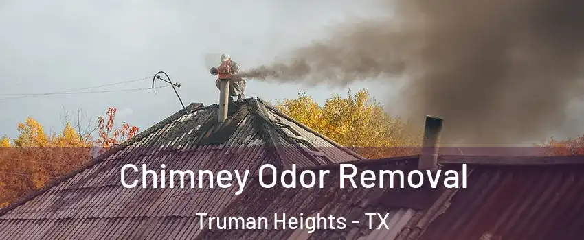 Chimney Odor Removal Truman Heights - TX