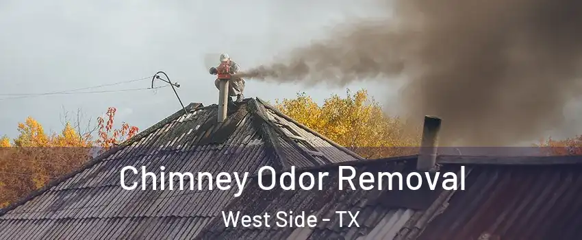 Chimney Odor Removal West Side - TX