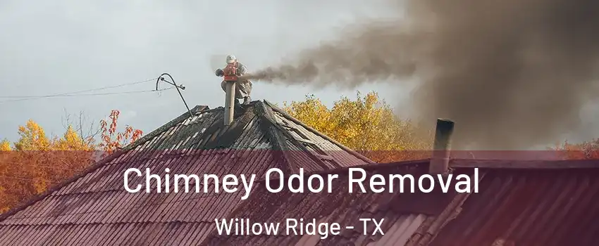 Chimney Odor Removal Willow Ridge - TX