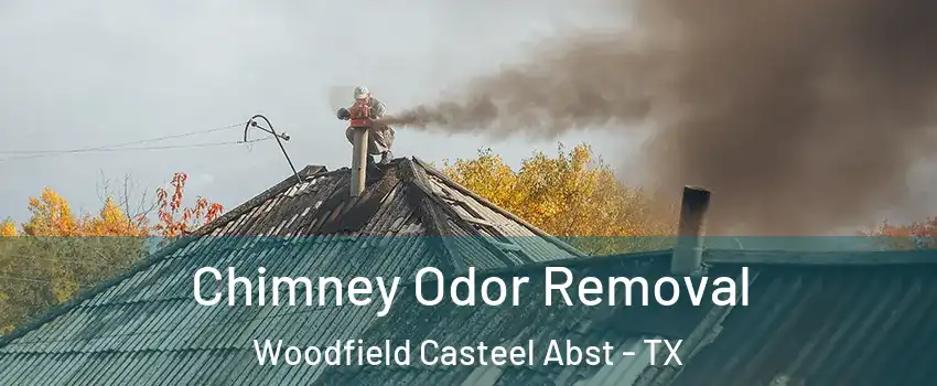 Chimney Odor Removal Woodfield Casteel Abst - TX