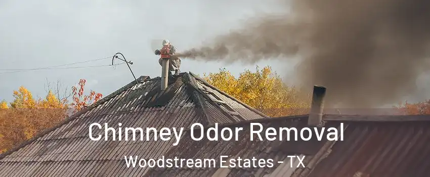 Chimney Odor Removal Woodstream Estates - TX