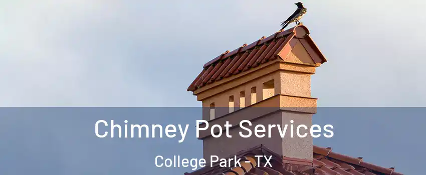 Chimney Pot Services College Park - TX