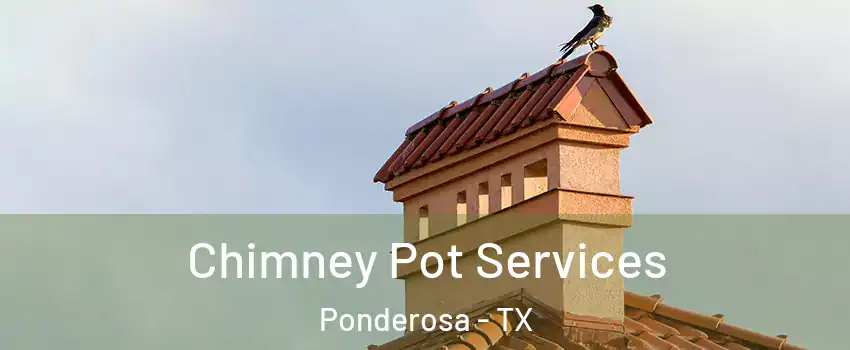 Chimney Pot Services Ponderosa - TX