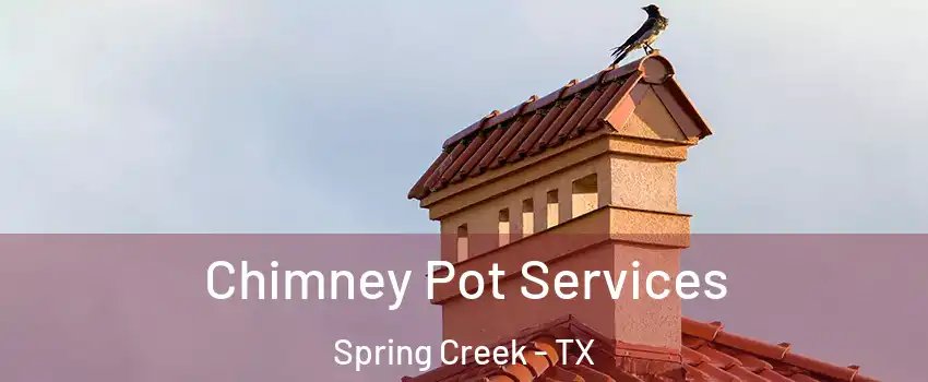 Chimney Pot Services Spring Creek - TX