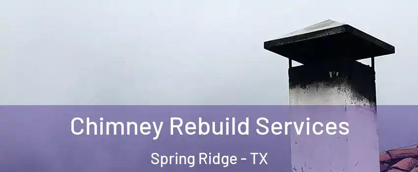 Chimney Rebuild Services Spring Ridge - TX