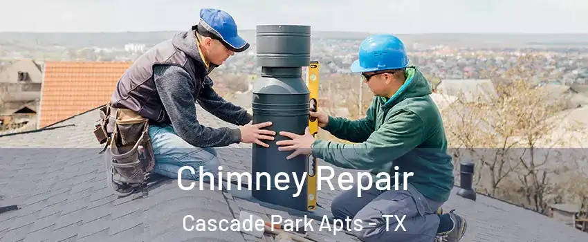 Chimney Repair Cascade Park Apts - TX