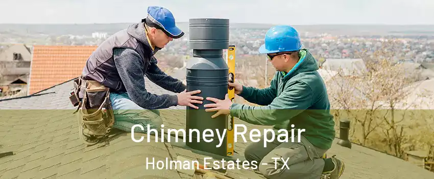 Chimney Repair Holman Estates - TX