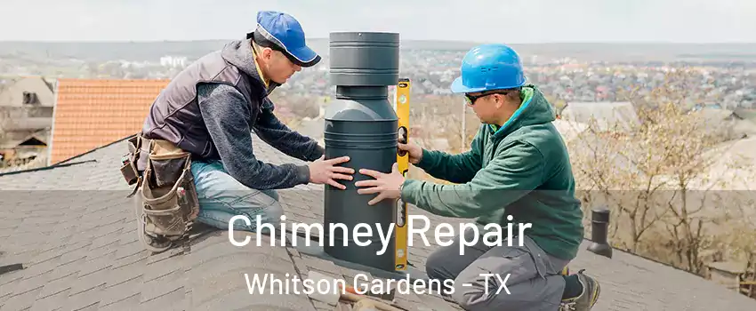 Chimney Repair Whitson Gardens - TX