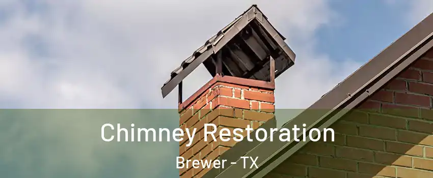 Chimney Restoration Brewer - TX