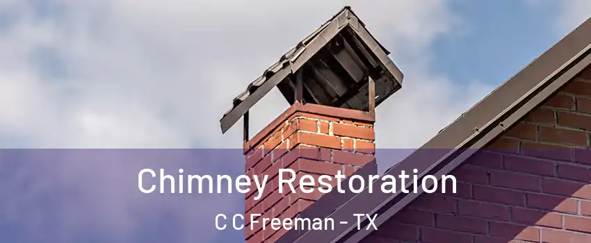 Chimney Restoration C C Freeman - TX