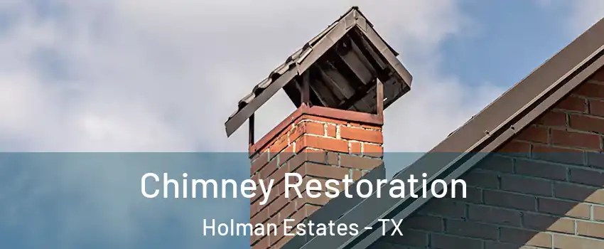 Chimney Restoration Holman Estates - TX