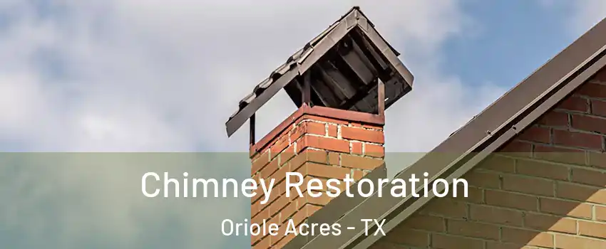 Chimney Restoration Oriole Acres - TX