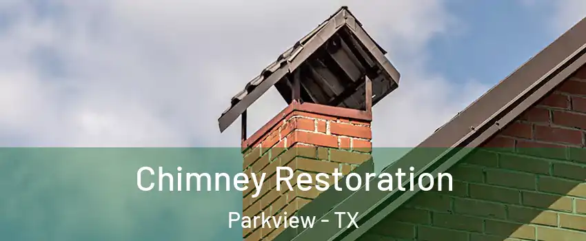 Chimney Restoration Parkview - TX