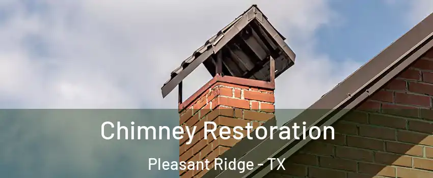 Chimney Restoration Pleasant Ridge - TX