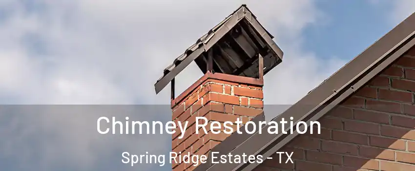 Chimney Restoration Spring Ridge Estates - TX