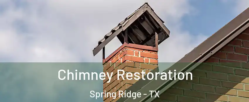 Chimney Restoration Spring Ridge - TX