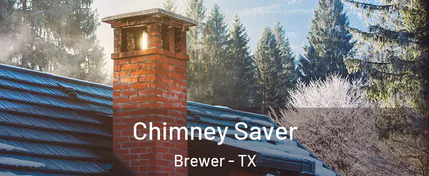 Chimney Saver Brewer - TX