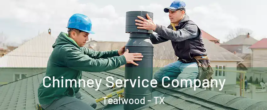 Chimney Service Company Tealwood - TX