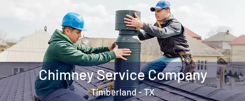 Chimney Service Company Timberland - TX