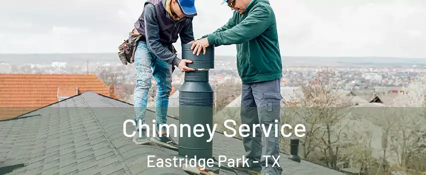 Chimney Service Eastridge Park - TX