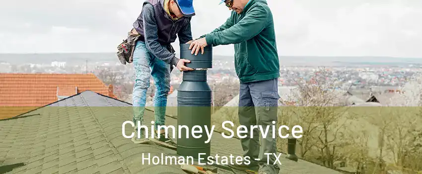 Chimney Service Holman Estates - TX
