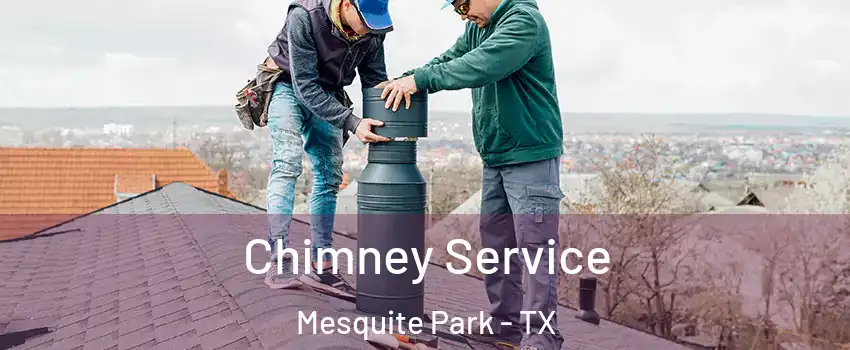 Chimney Service Mesquite Park - TX