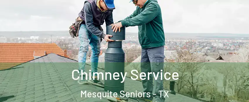 Chimney Service Mesquite Seniors - TX