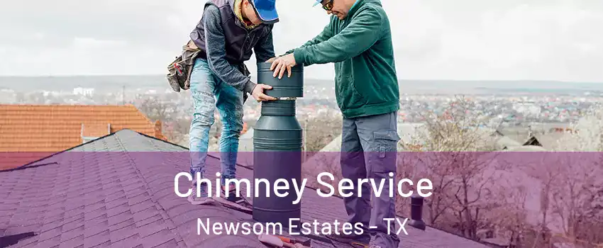 Chimney Service Newsom Estates - TX