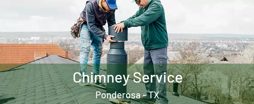 Chimney Service Ponderosa - TX