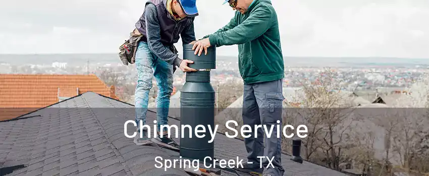 Chimney Service Spring Creek - TX
