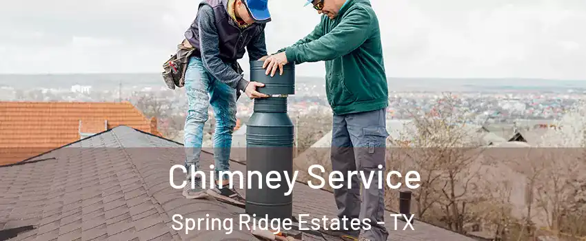 Chimney Service Spring Ridge Estates - TX