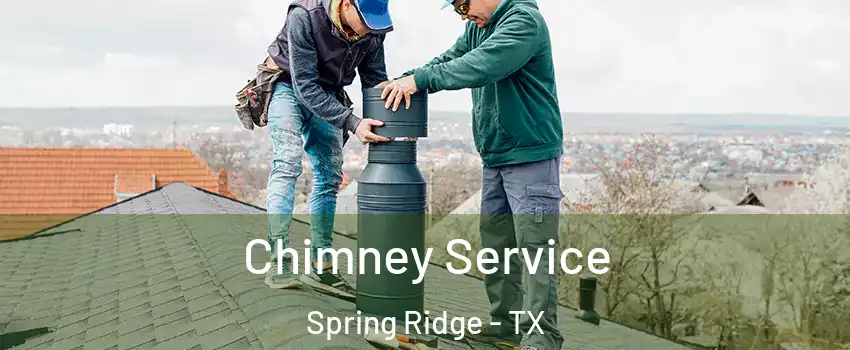 Chimney Service Spring Ridge - TX