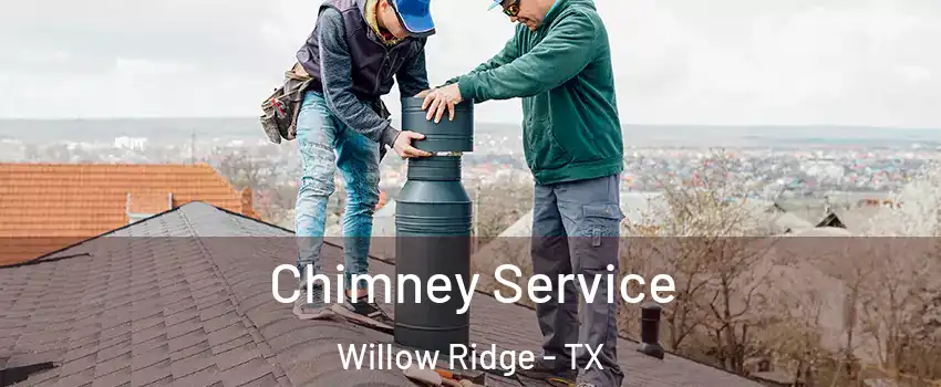Chimney Service Willow Ridge - TX