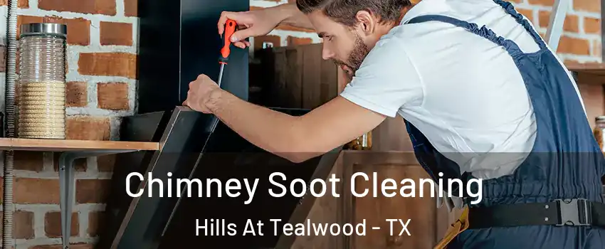 Chimney Soot Cleaning Hills At Tealwood - TX