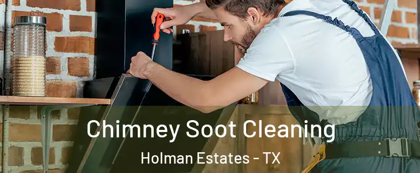 Chimney Soot Cleaning Holman Estates - TX