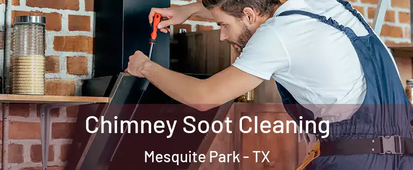 Chimney Soot Cleaning Mesquite Park - TX