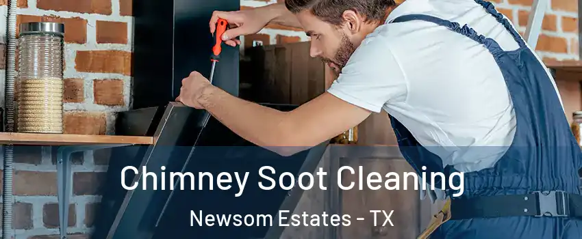 Chimney Soot Cleaning Newsom Estates - TX