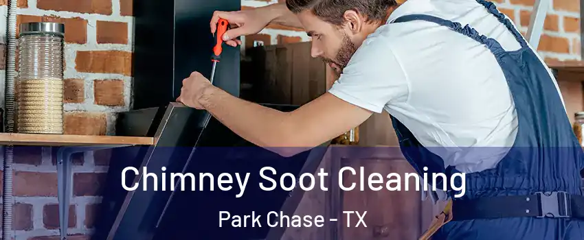 Chimney Soot Cleaning Park Chase - TX