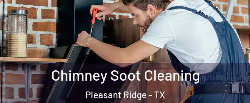 Chimney Soot Cleaning Pleasant Ridge - TX